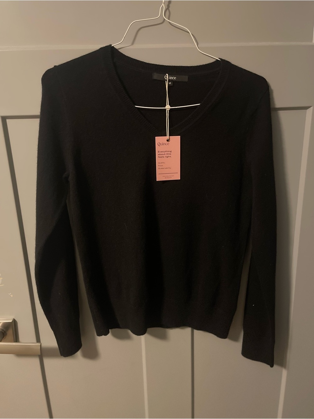 Quince Black V-Neck Mongolian Cashmere Sweater